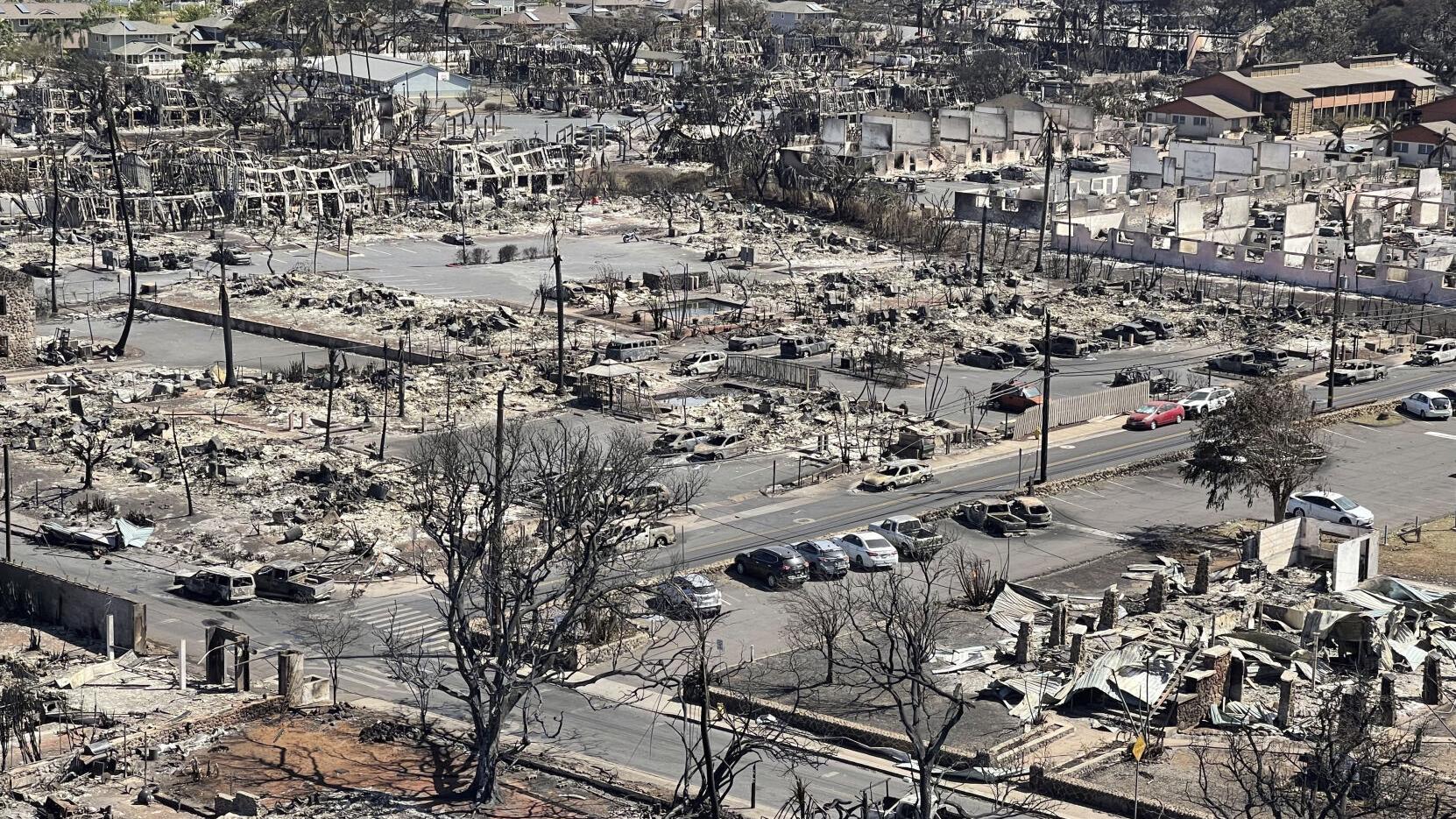 Maui wildfires kill dozens, a winner for the Mega Millions is finally chosen, and more top news from the week